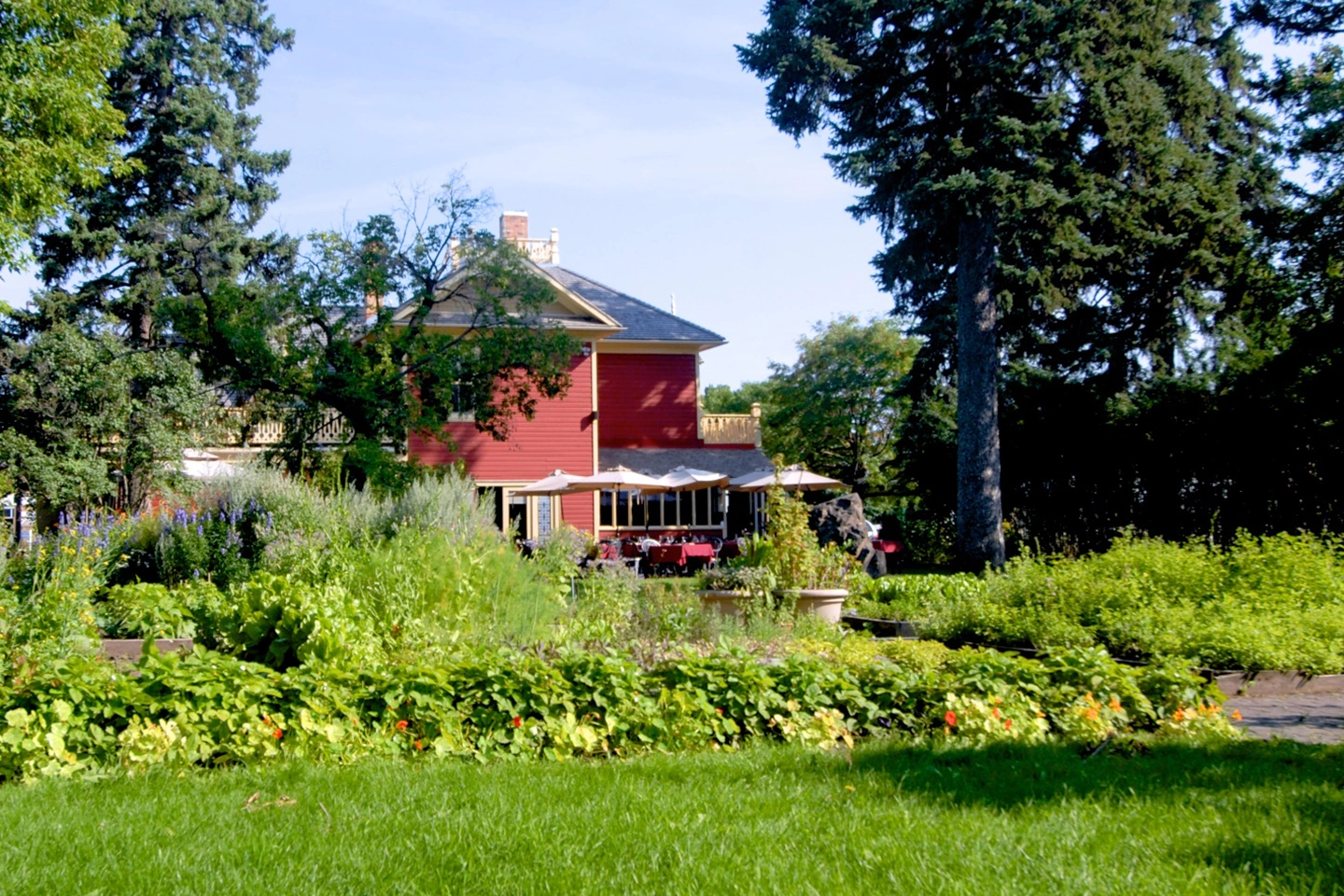 Our Garden in Early July