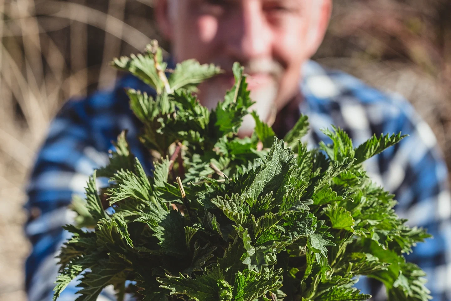 Les Stroud_s Wild Harvest - 202 - Paul Holding Nettle_sq
